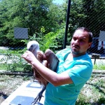 Зоопарк Стара Загора и „Зелени Балкани“ с нова стъпка към завръщането на белоглавите лешояди в природата