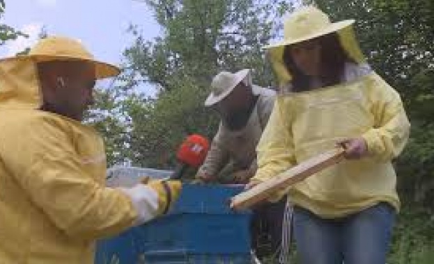 След високата смъртност при пчелите и очакванията за лоша година