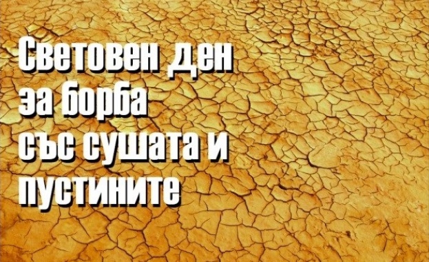 На 17 юни отбелязваме Световния ден за борба със сушата