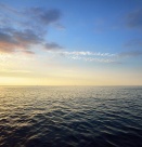 Ще доведат ли атаките в Черно море до негативни последици за подводния свят