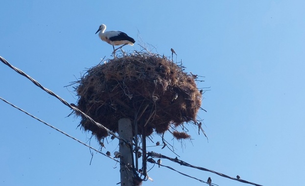 Жители на силистренското село Смилец се обърнаха към РИОСВ Русе със