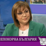 Позиция на лидера на "Непокорна България" Корнелия Нинова