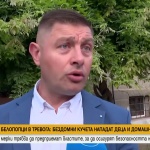 Бездомни кучета нападат деца и домашни любимци в софийско село. Ще бъдат ли взети мерки