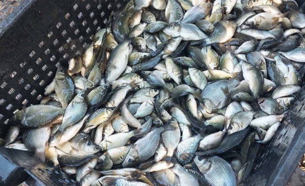 Ден преди Никулден екип на bTV посети магазин в Добрич