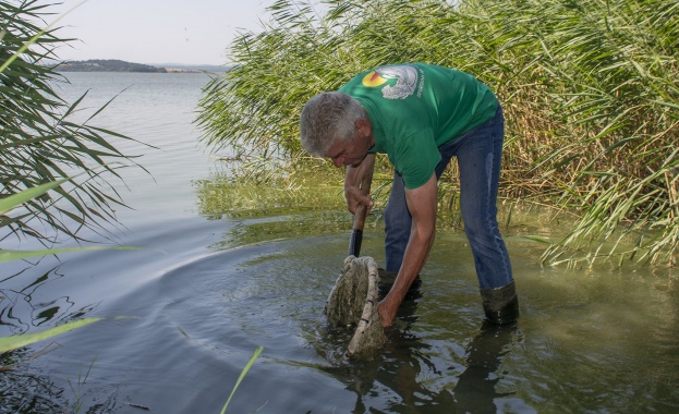 Доброволци на Сдружение с нестопанска цел Приятели на морето
