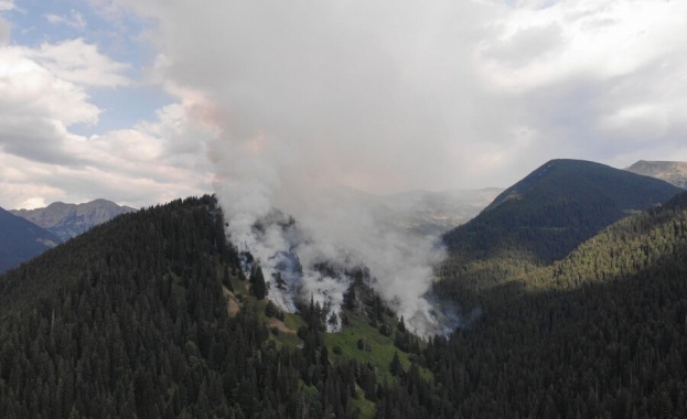 Пети ден продължава борбата с пожара в Национален парк Рила