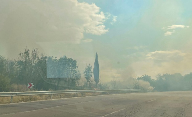 Пожар пламна до Провадия