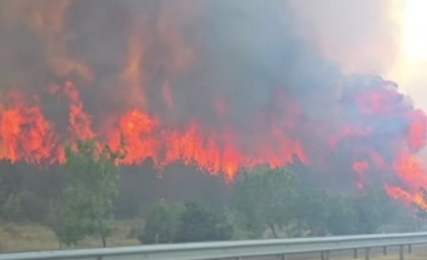 На едното място горят треви и храсти на другото се