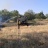 Военнослужещи от Сухопътните войски от Софийския гарнизон участват в гасенето на пожара, засегнал учебен център „Сливница“