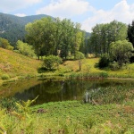 Чаирските езера в Родопите – рай за сетивата и  убежище на скъпоценна природа