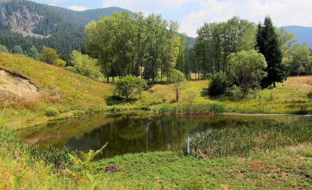 Чарът на лятото е в откриването на неподозираната природна красота