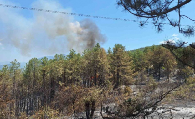 Горският пожар над село Илинденци стана върхов Ситуацията е изключително