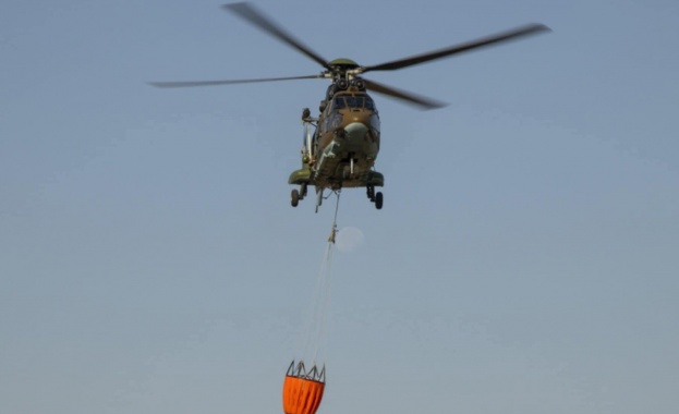 Силен вятър разпалва отново огнищата на пожара в община Сунгурларе