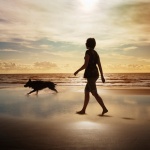 5 съвета за по-спокойна и безопасна лятна почивка с домашен любимец