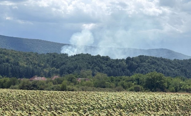Голям пожар гори до язовир Мътница в района на вилната