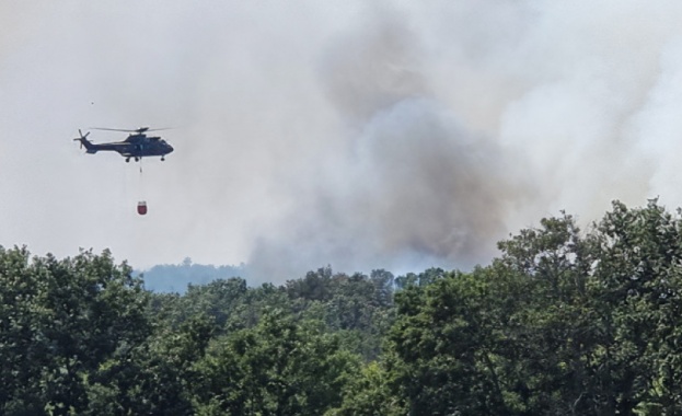 Обстановката с пожарите в страната постепенно се нормализира Работи се по
