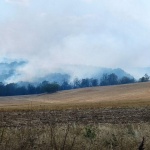 Пожарът в района на Харманли и Любимец е ограничен по всички фронтове 