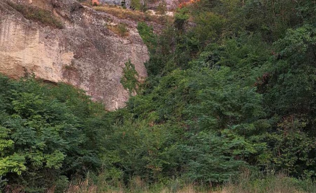 Пожар избухна снощи в Шуменското плато в района на Фатмеджика