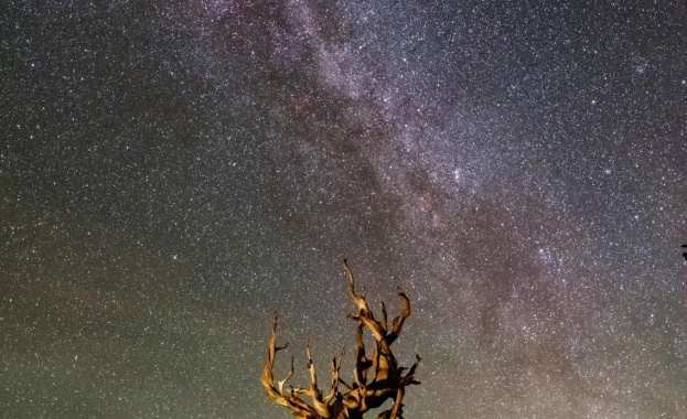 8 ярки събития в нощното небе, които може да видите през август