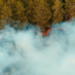Четвърти ден продължава борбата с огъня край Сунгурларе