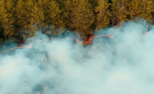 Продължава гасенето на пожара в района на сунгурларското село Славянци