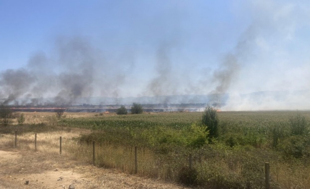 Пожарът край 86 ия км на автомагистрала Тракия се разгоря отново