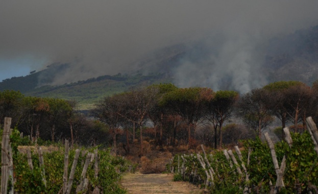 Горският пожар в района на вулкана Везувий край Неапол е