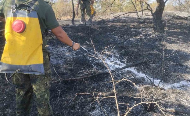 Формирование за овладяване и или преодоляване на последствията от бедствия от