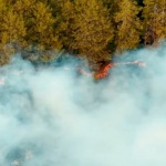 Пети ден продължава битката с огнената стихия в Сунгурларе