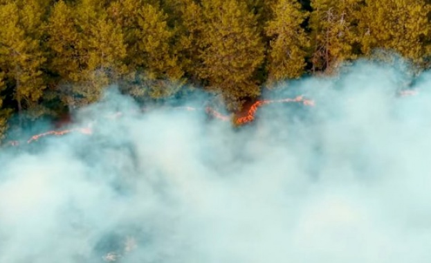 Пети ден продължава битката с огнената стихия в Сунгурларе