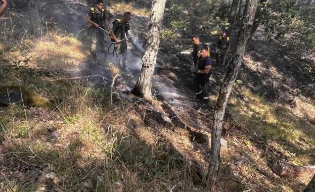 За пореден ден днес 13 август военнослужещи от Сухопътните войски