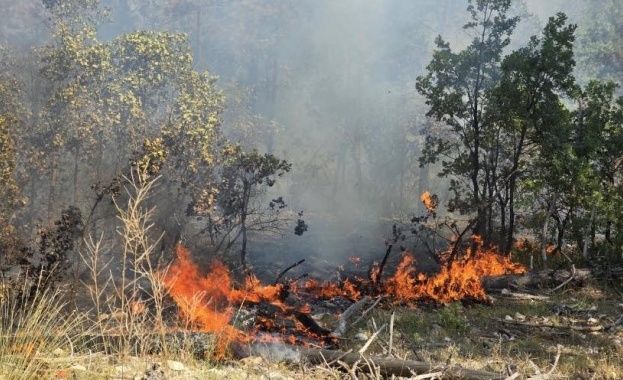 Пожар е възникнал в местност в землището на Якоруда Това съобщи