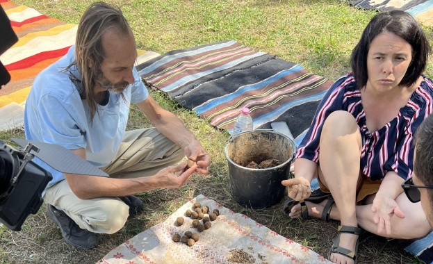 Как се възстановява гора: с грижа, знание и подкрепа