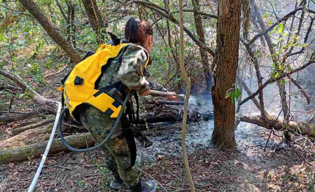 Военнослужещи от Сухопътните войски отново оказват помощ при погасяването на