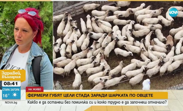 Вече над 100 огнища на шарка са регистрирани само в