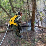 Военнослужещи от Сухопътните войски оказват помощ за гасене на пожари в областите Велико Търново и Благоевград