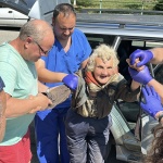 Откриха изчезналата в Средна гора 78-годишна жена, била паднала в дере
