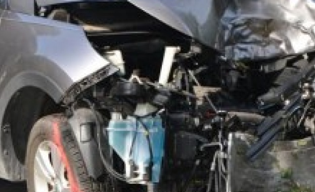 Пореден тежък инцидент с бивол в София Животното се озовало