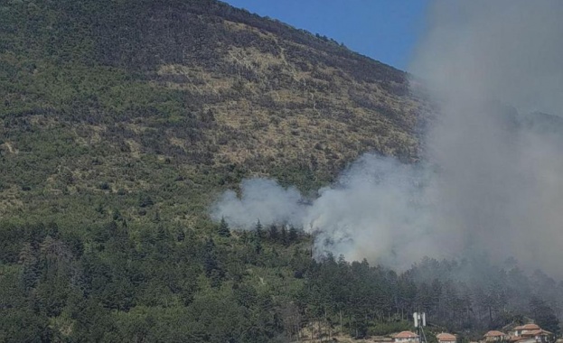 Голям пожар гори в местността Св Георги в Сливен Сигналът за