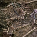 Тайни от Антична Сердика: Ценни бижута „изплуваха“ от разкопките в София 