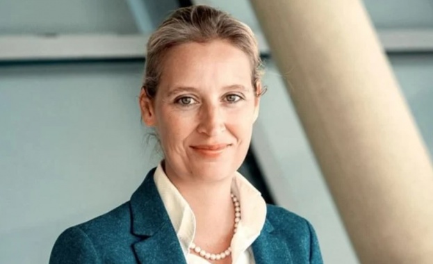 Алис Вайдел: Разполагането на германски войски в Украйна ще бъде фатална грешка