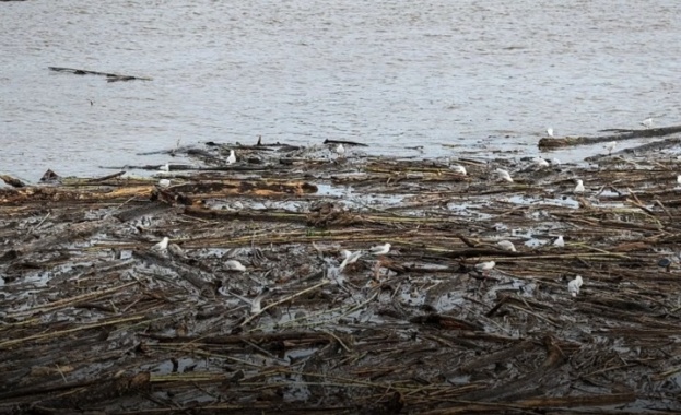 Двама души загинаха в Керетаро в централната част на Мексико
