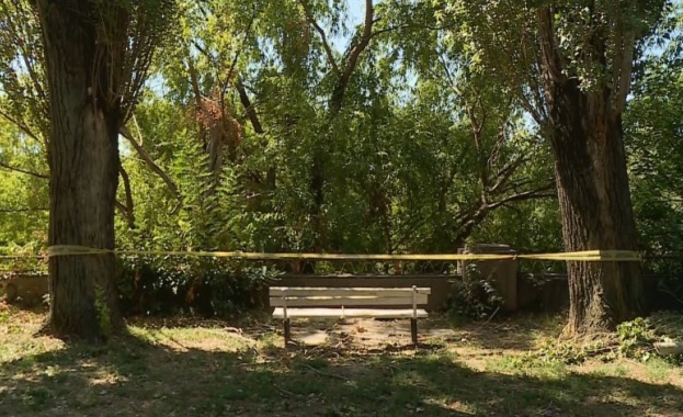 След като паднал клон уби мъж: Уволниха директора на "Градини и паркове" в Пловдив