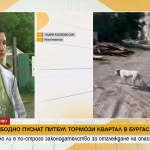 Квартал в Бургас живее в страх заради питбул, който напада животни. Достатъчни ли са глобите, за да се предотвратят нови инциденти с опасни кучета?