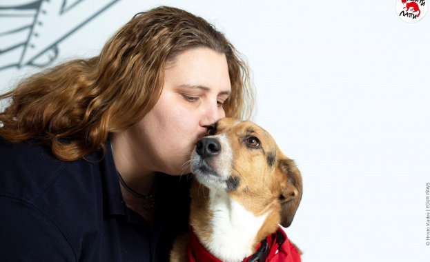 Международен ден на кучето ЧЕТИРИ ЛАПИ с важни съвети и