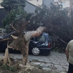 Мощна буря премина през Кюстендил