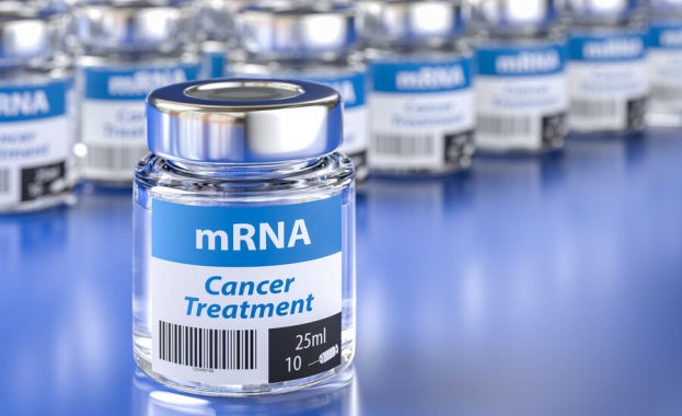 Имунната система е била стимулирана да реагира сякаш се бори