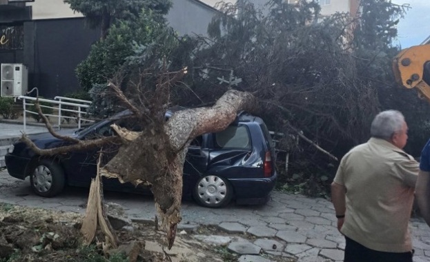 Мощна буря премина през Кюстендил Стихията удари града със силен