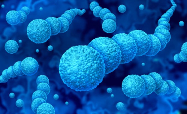 Каква е връзката между сърцето и viridans streptococci
Учени са открили