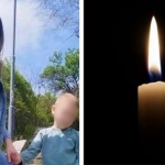 Нещо жестоко е объркано в идеята ни за живота. Тук, в България